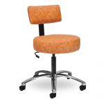 health-medical-stool-with-back